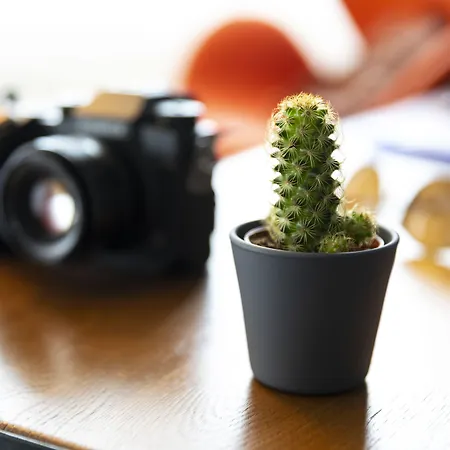 Szálloda Pentahotel Rostock